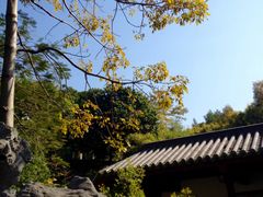 景点-广州神农草堂中医药博物馆