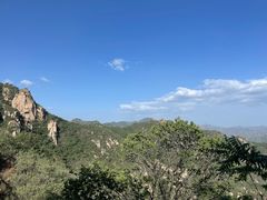 -大岭沟猕猴桃谷风景区