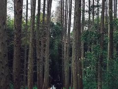 -同里国家湿地公园