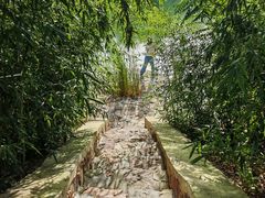 -西部长青自然儿童乐园