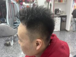 -飞梵造型