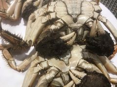 -银帆宾馆-自助餐厅(金马路店)