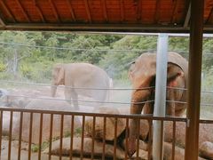 -宁波野生动物园