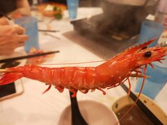 -鲜入围煮花胶鸡海鲜火锅