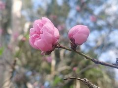 -西湖公园(鼓楼区)