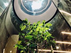 -Infica Coffee