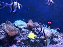 -成都浩海立方海洋公园