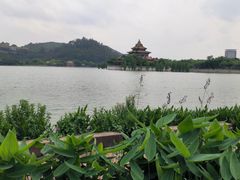 -顺峰山公园