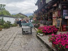 -滇藏石锅宴(崇仁巷老店)