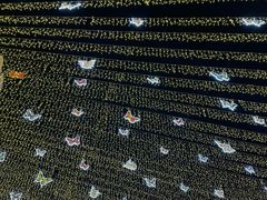 -砂之船奥特莱斯(合肥店)