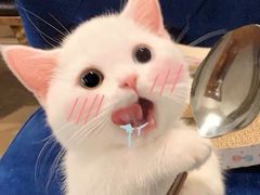 -莱姆星桌游·拼豆·团建