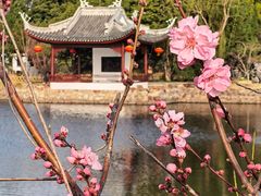 -无锡蠡湖国家湿地公园-蠡园