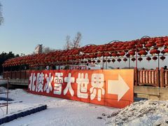 -北陵公园