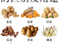 -淡村菜市场
