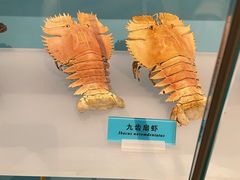 -天津自然博物馆