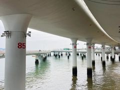 -演武大桥观景平台