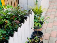 -Rabbit Cafe私房西餐甜点咖啡(栖霞路店)