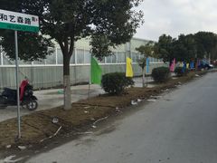 -龙大花卉苗木市场