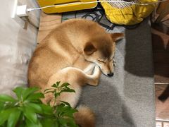 -About Bistro關於·泰式家庭料理