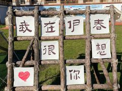 -五营红松林海景区