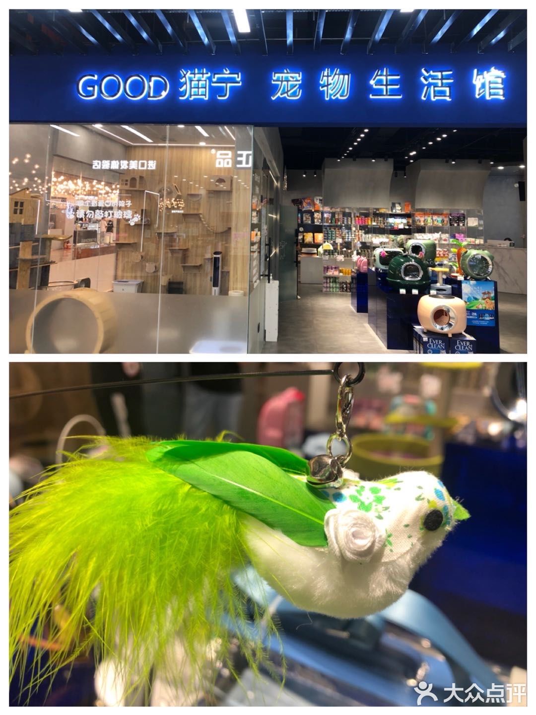 藏在商场里的撸猫和宠物用品集合点店！