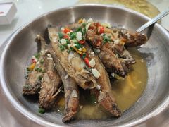 红烧黄骨鱼-华中科技大学百景园(三楼酒店)