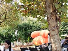 -HERRE·FARM 赫尔露营农场·团建聚会包场