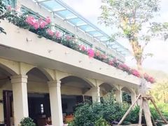 -三亚亚龙湾金棕榈度假酒店