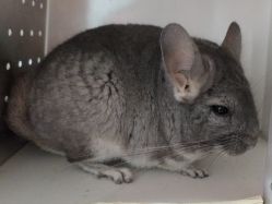 -IDO婚纱摄影(上海旗舰店)