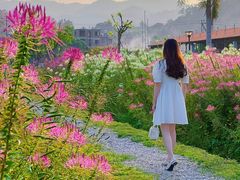 -东南花都花博园