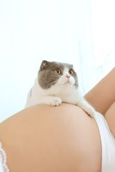 -暖摄影 孕妇写真家庭影像馆 (自然光主题店)