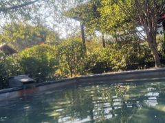 -咸宁万豪温泉谷度假区