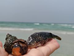 -咸德海水浴场