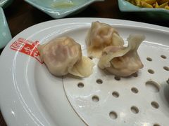 -俏东方·海味水饺·青岛菜(崂山店)