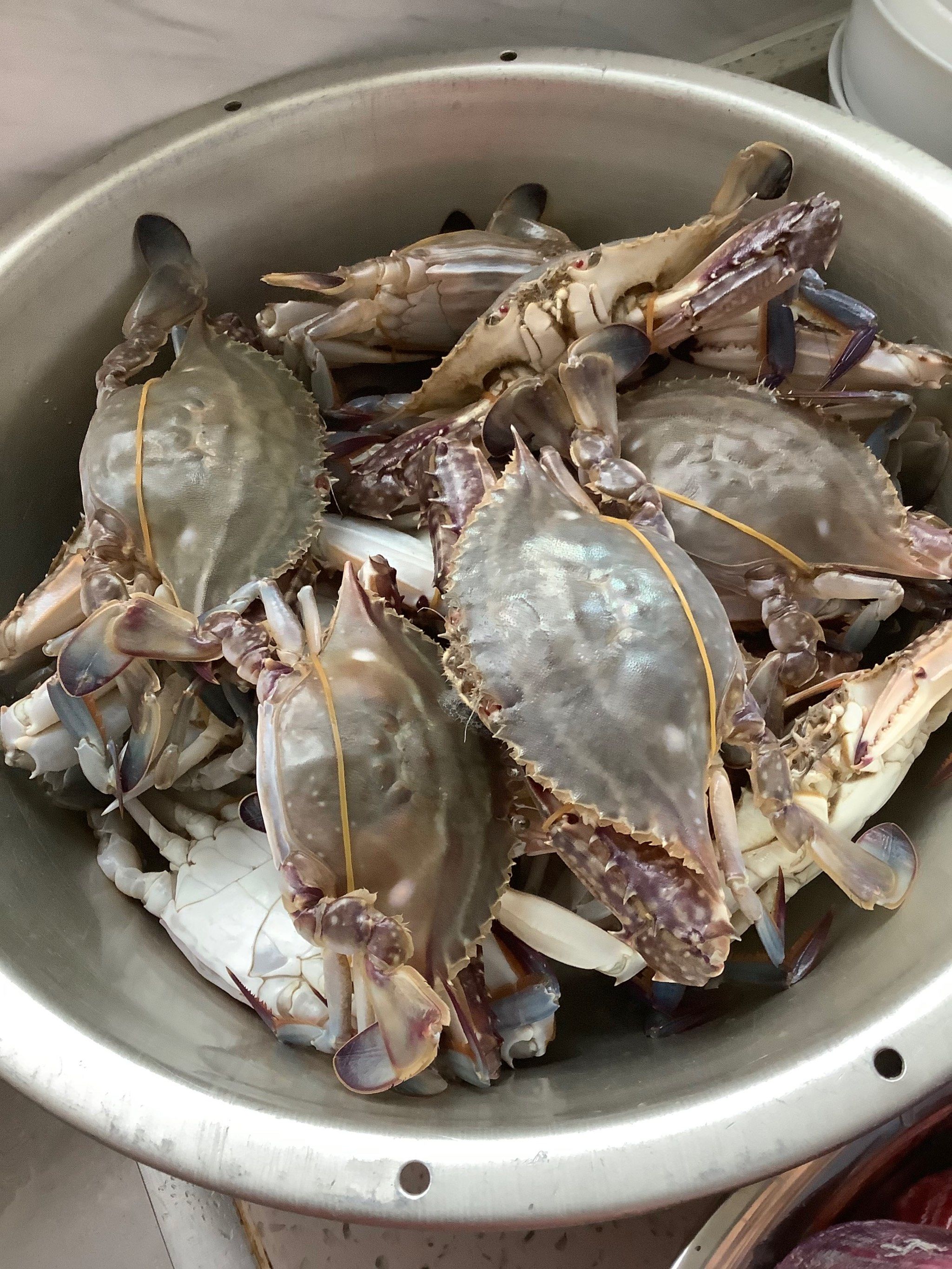 秋风起蟹脚肥 蒸螃蟹