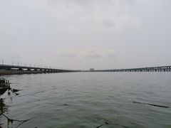 -海堤纪念公园