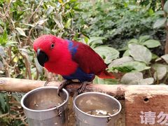 -南宫五洲植物乐园