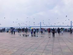 -星海湾跨海大桥