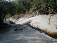 -海南霸王岭国家森林公园