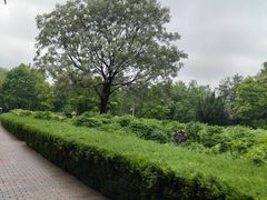 -洛阳市隋唐城遗址植物园