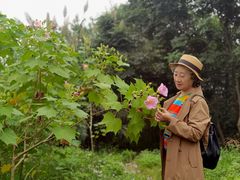 -白鹭湾湿地公园