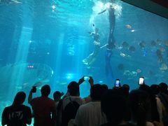 -福州罗源湾海洋世界旅游区