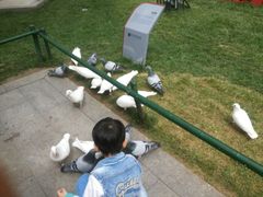 android_upload_pic-西安曲江寒窑遗址公园