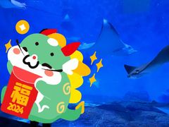 -上海海洋水族馆