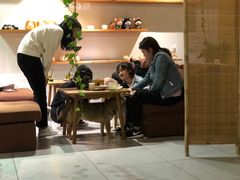 大堂-柴务处·柴犬主题狗咖