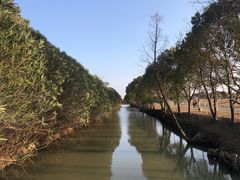 -嘉北郊野公园