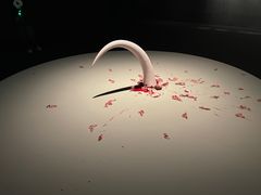 -上海当代艺术博物馆