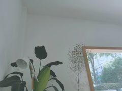 景观位-COTTON CAFE(德信·中外公寓店)