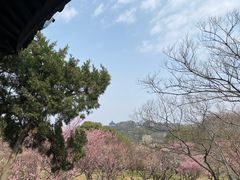 -无锡梅园公园