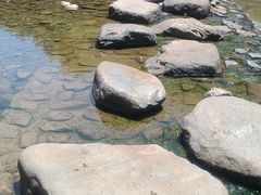 -北仑森林植物园